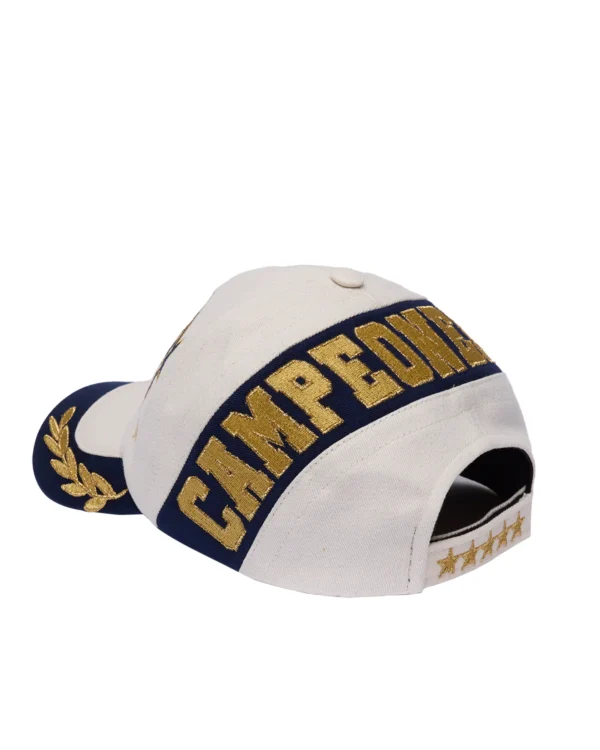 020 BONÉ DAD HAT CAMPEONES